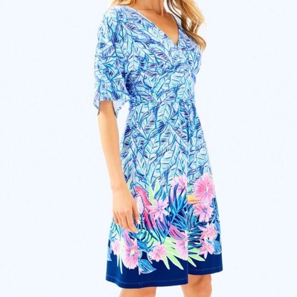 Lilly Pulitzer Dress - Picture 9 of 9